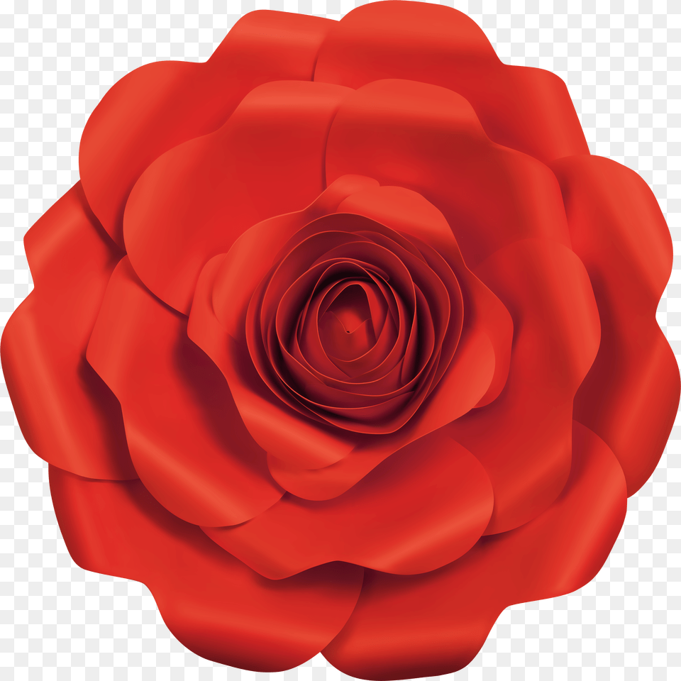 Fancy Red Rose Image Japanese Camellia, Flower, Petal, Plant Free Transparent Png