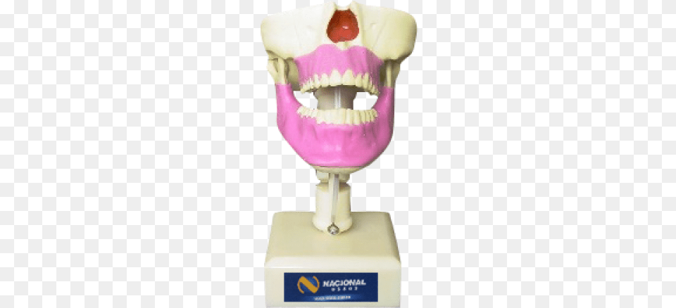 Fancybox Human Tooth, Body Part, Mouth, Person, Teeth Free Transparent Png