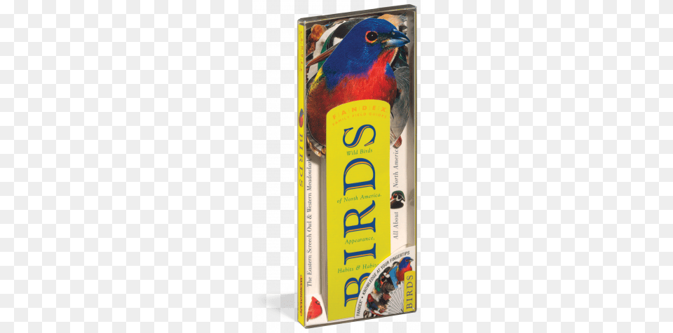 Fandex Family Field Guides Birds Wild Birds Of North America Appearance Habits, Book, Publication, Animal, Beak Png