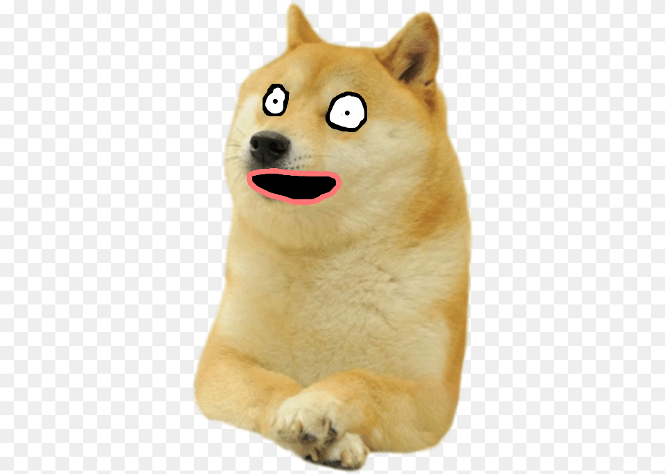 Fang, Animal, Canine, Dog, Husky Png Image