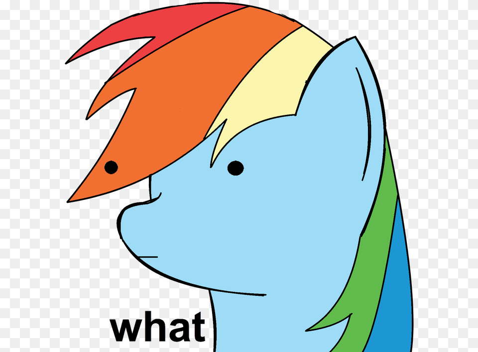 Fanmade Confused Rainbow Dash Confused Rainbow Dash, Animal, Fish, Sea Life, Shark Free Transparent Png
