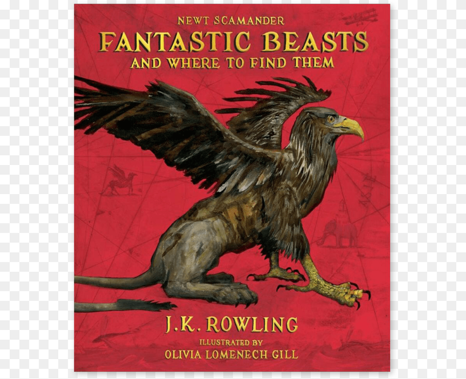 Fantastic Beasts And Where To Find Them Book Illustrated, Animal, Bird, Publication, Vulture Png Image