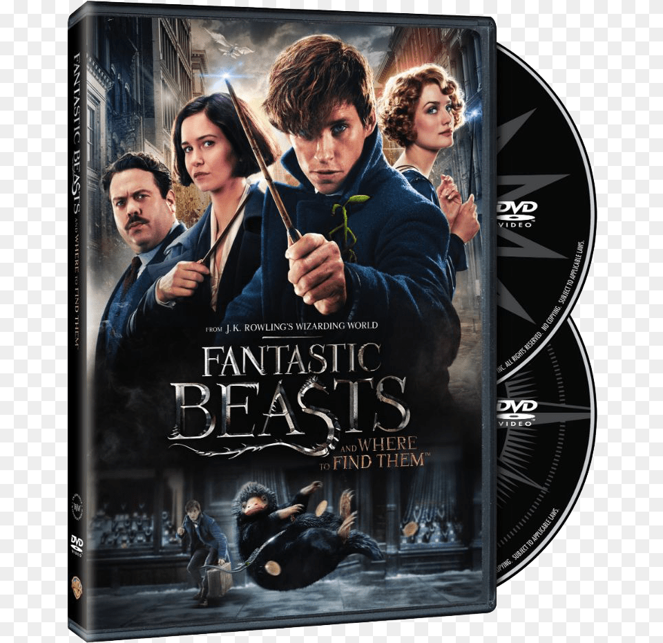 Fantastic Beasts Dvd, Adult, Male, Man, Person Png Image