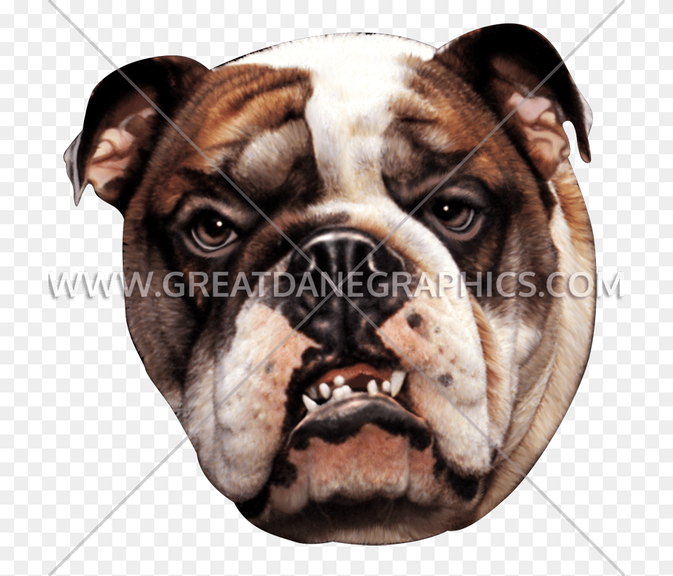 Fantasticdesignsshop Bulldog Tee Shirt Dog Lover Tshirt, Animal, Canine, Mammal, Pet Png