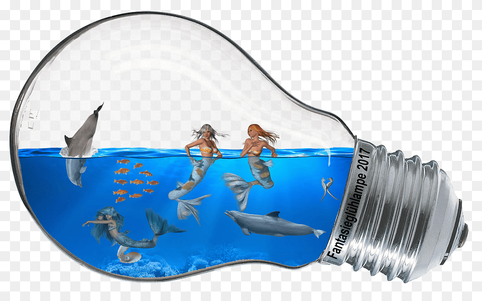 Fantasy Light, Person, Lightbulb, Shark Png Image