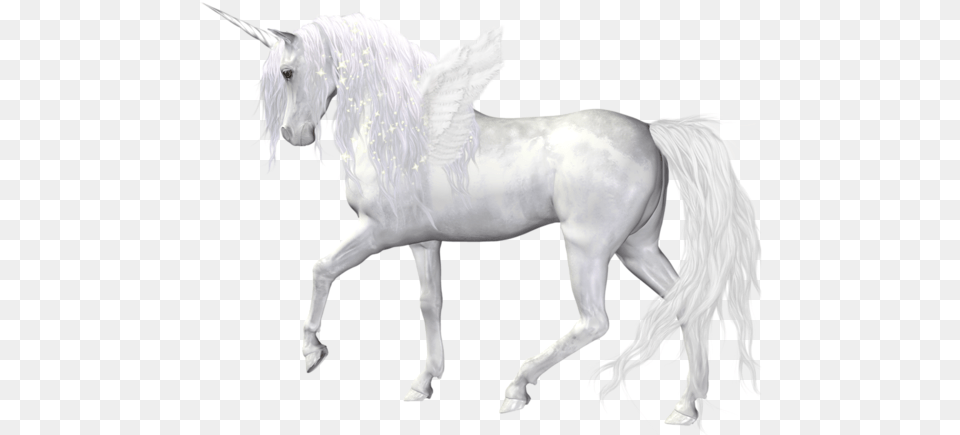 Fantasy Angel Unicorn Clipart Picture Realistic Unicorn, Animal, Horse, Mammal, Stallion Png