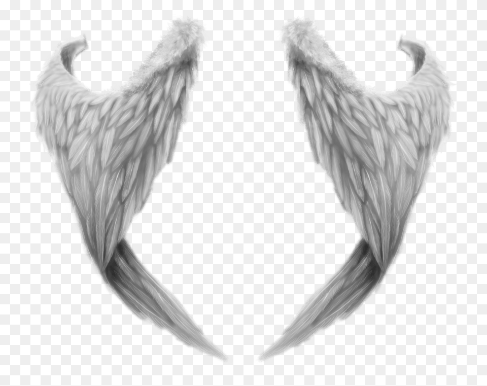 Fantasy Angel Wings, Accessories, Animal, Bird Free Png Download