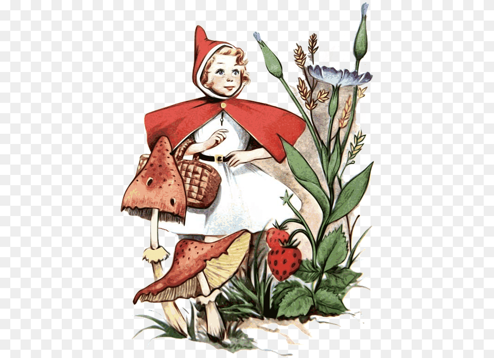 Fantasy Art Little Red Red Riding Hood, Adult, Wedding, Person, Female Free Transparent Png