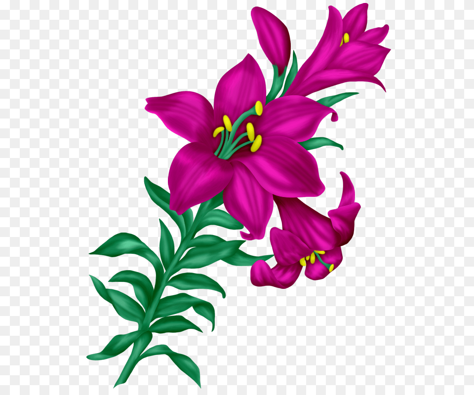 Fantasy Easter Kwiaty Transparent Flower, Plant, Pattern, Art, Graphics Png