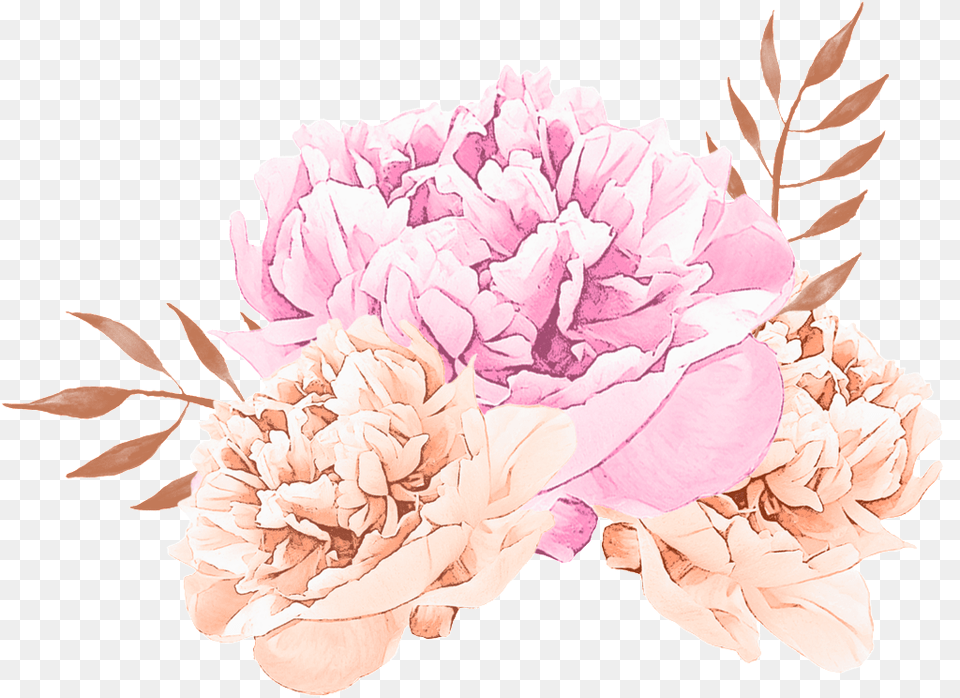 Fantasy Flower Cartoon Transparent Chrysanths, Plant, Rose, Carnation, Dahlia Png Image