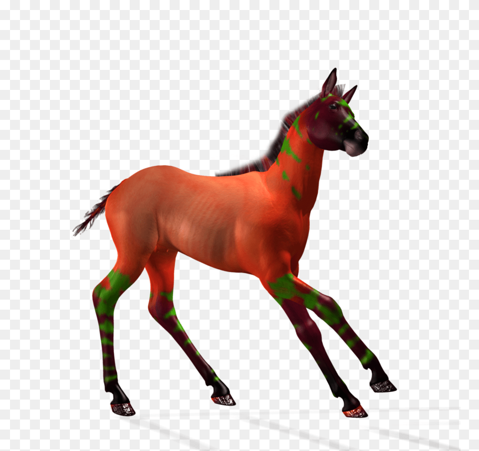 Fantasy Foal Stock, Animal, Colt Horse, Horse, Mammal Free Png Download