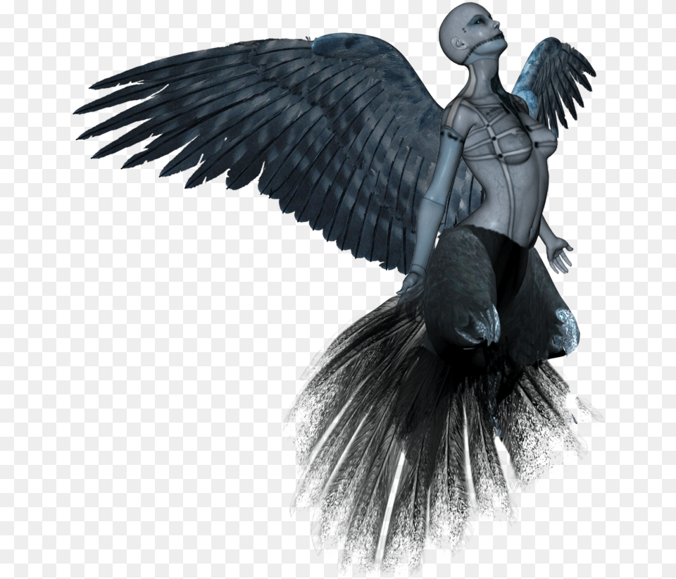 Fantasy Images Creature, Angel, Animal, Bird, Adult Png