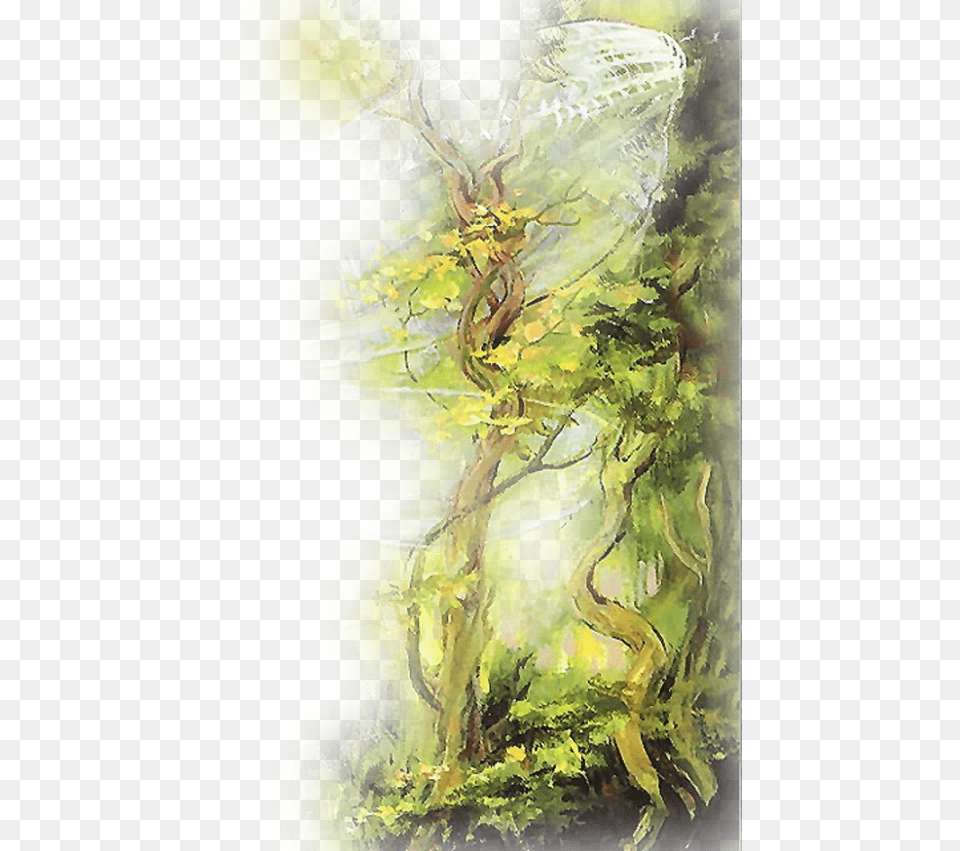 Fantasy K Illustration, Art, Vegetation, Tree, Plant Free Png