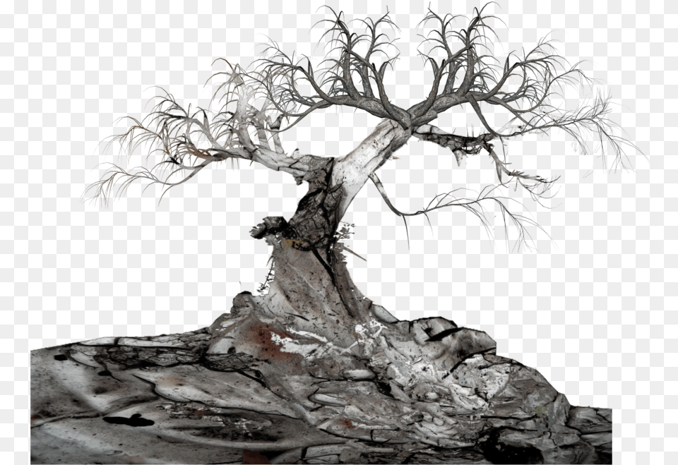 Fantasy Old Tree Oldtree White Rock Dead Branch Crucible Character Map Act, Plant, Potted Plant, Wood, Bonsai Free Png