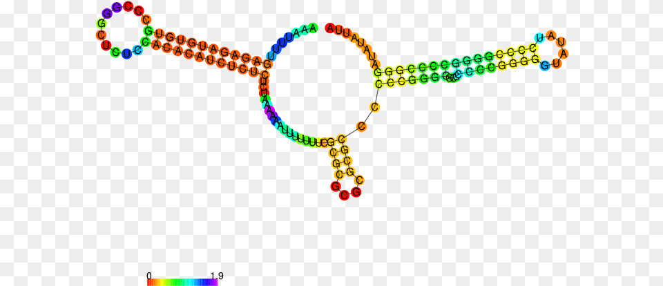 Fantasy Rna Circle, Accessories, Jewelry, Necklace, Bead Free Png