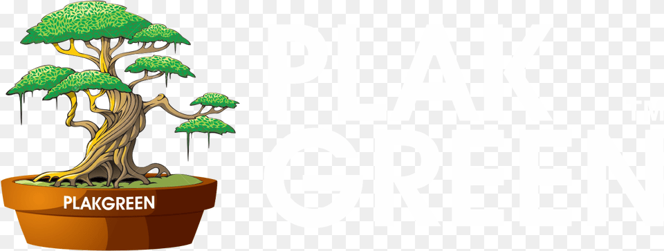 Fantasy Tree Clipart, Plant, Potted Plant, Vegetation, Bonsai Free Png