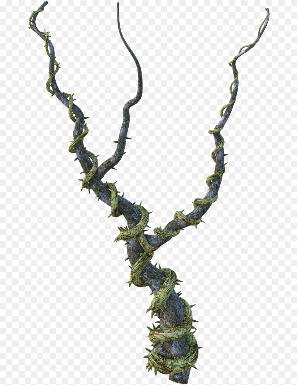 Fantasy Vine, Accessories, Jewelry, Necklace, Ornament Free Png