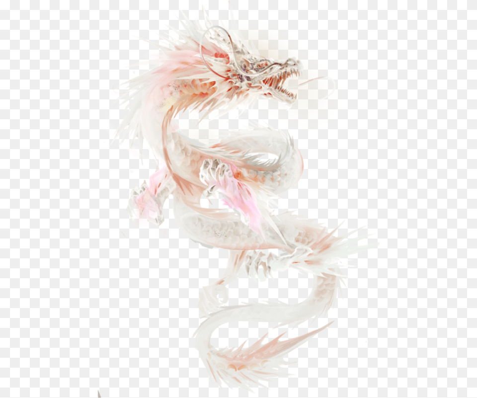 Fantasy White Fur Dragon, Person Png Image