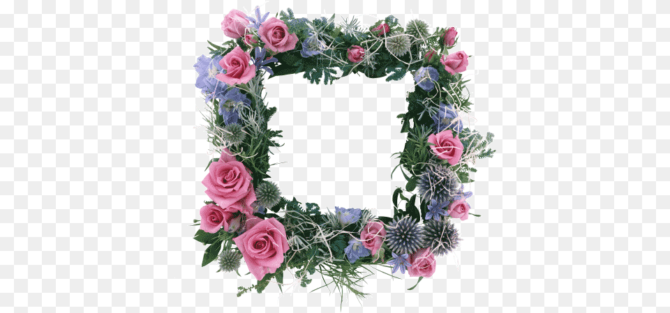 Fantstico Patrn De Flores Sobre Un Fondo Transparente Cuadros Para Fotos De Flores Hermosas, Flower, Plant, Rose, Wreath Png