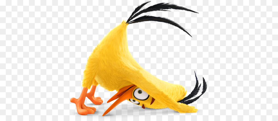 Faq Angry Birds Vr U2014 Resolution Games Fictional Character, Animal, Beak, Bird Png Image