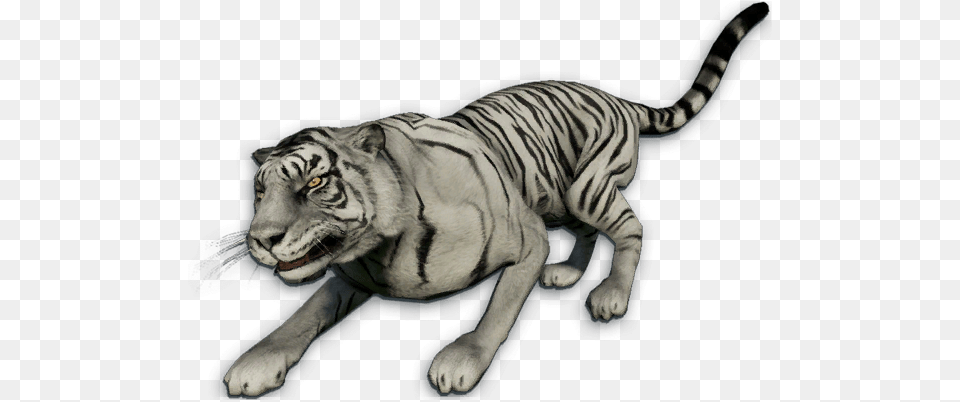 Far Cry 4 Tiger, Animal, Mammal, Wildlife Png Image