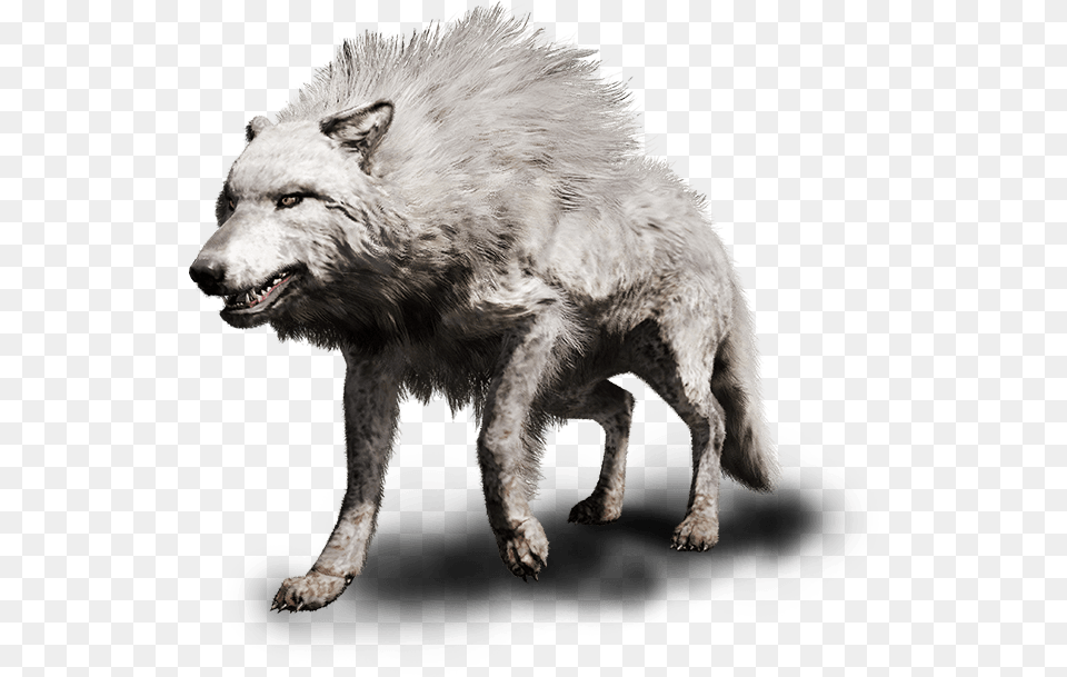 Far Cry Primal Clipart Clip Art Royalty Stock Far Cry Primal Animals, Animal, Canine, Dog, Mammal Free Png Download