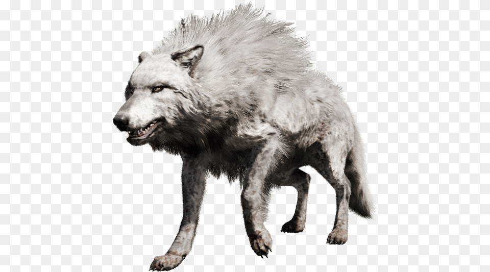 Far Cry Primal Direwolf, Animal, Canine, Dog, Mammal Free Transparent Png