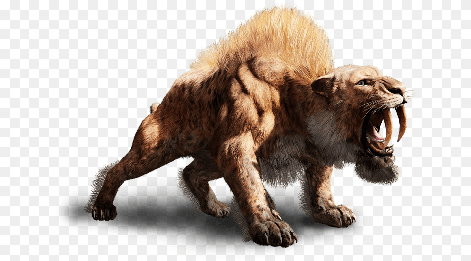 Far Cry Primal Smilodon Far Cry Primal, Animal, Lion, Mammal, Wildlife Free Transparent Png