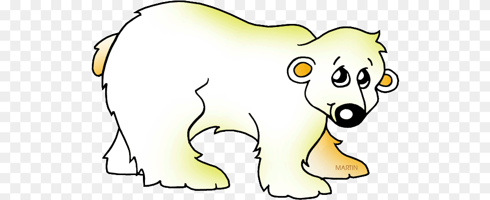 Far North Polar Bear Cartoon, Baby, Person, Animal, Wildlife Free Transparent Png