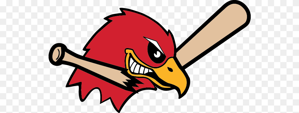 Fargo Moorhead Redhawks Home, Person, People, Baseball, Baseball Bat Free Transparent Png