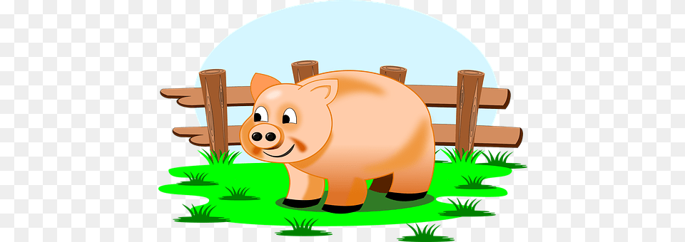 Farm Animal, Mammal, Pig, Piggy Bank Free Png