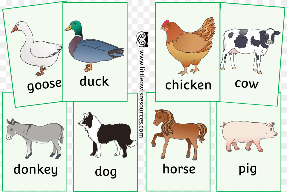 Farm Animals Picture Snap Card Game Animal Cards Free Printable, Fowl, Chicken, Poultry, Bird Png