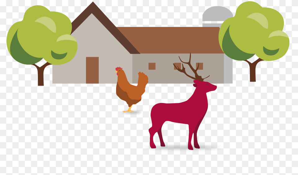 Farm Bakery, Animal, Poultry, Neighborhood, Mammal Free Transparent Png