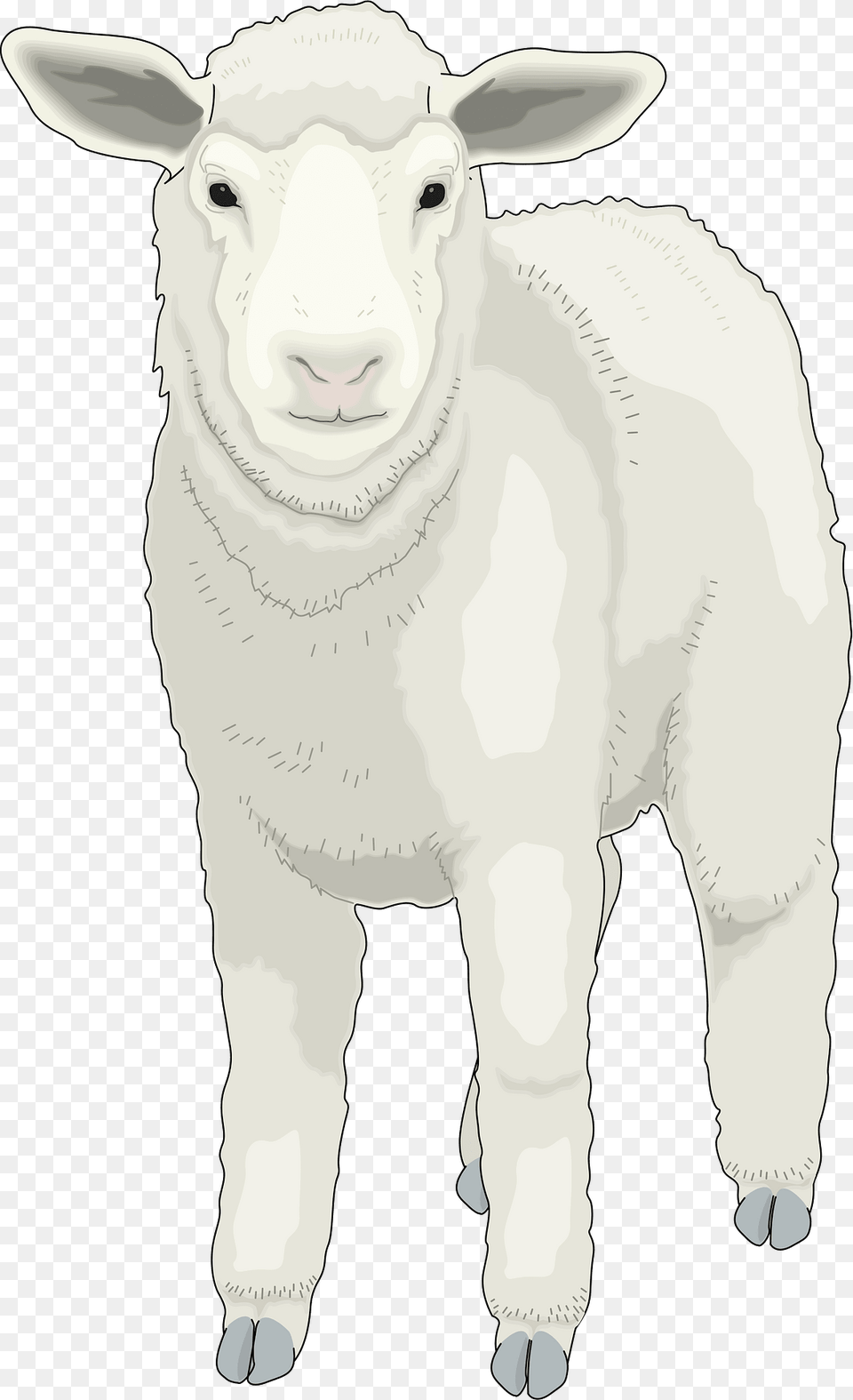 Farm Clipart, Livestock, Animal, Mammal, Cattle Free Transparent Png