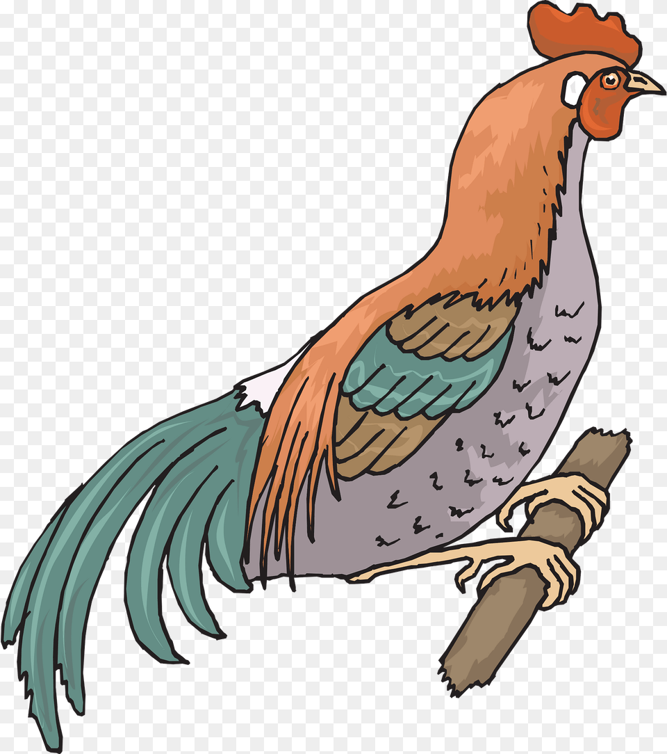 Farm Clipart, Animal, Bird, Chicken, Fowl Png Image