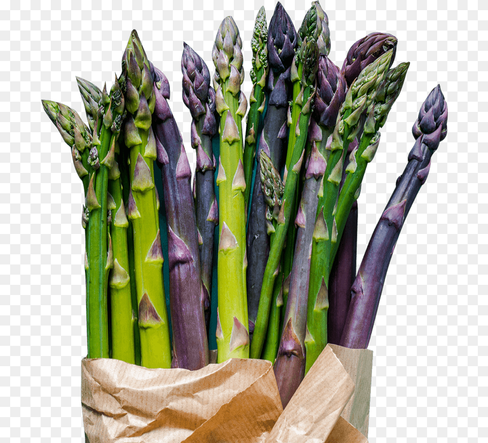 Farm Direct Supply Asparagus, Food, Plant, Produce, Vegetable Png Image