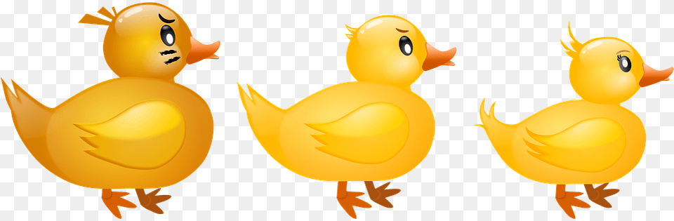 Farm Duck Five Little Duck, Animal, Bird Png Image