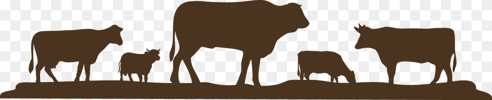 Farm Info Reese Cattle Grain And Cattle As Money, Animal, Cow, Livestock, Mammal Free Png Download