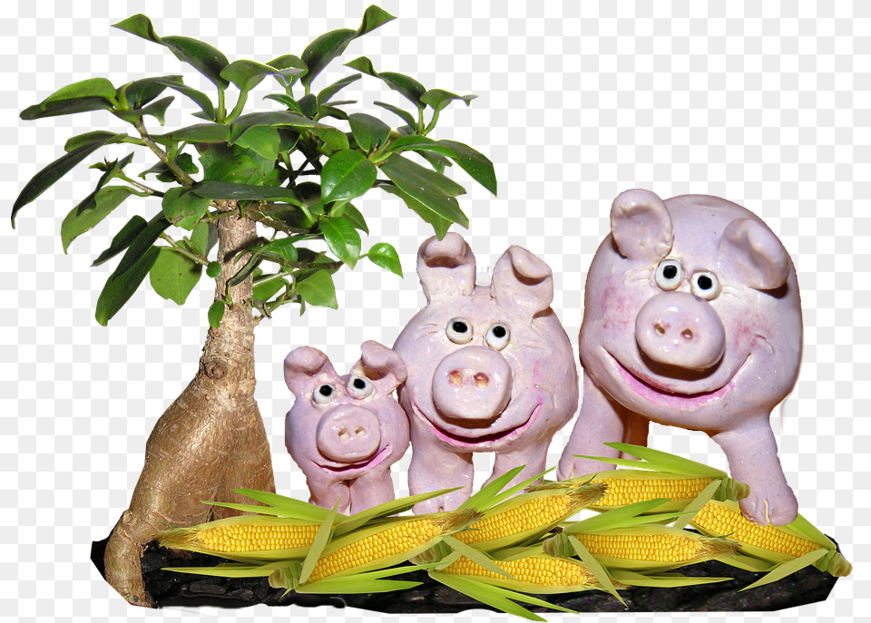 Farm Pigs Corn Animal Figure, Plant, Potted Plant, Mammal, Pig Free Png
