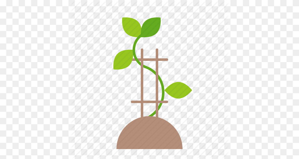 Farm Seedling Sprout Tree Young Plant Icon, Potted Plant, Cross, Symbol, Leaf Free Png Download