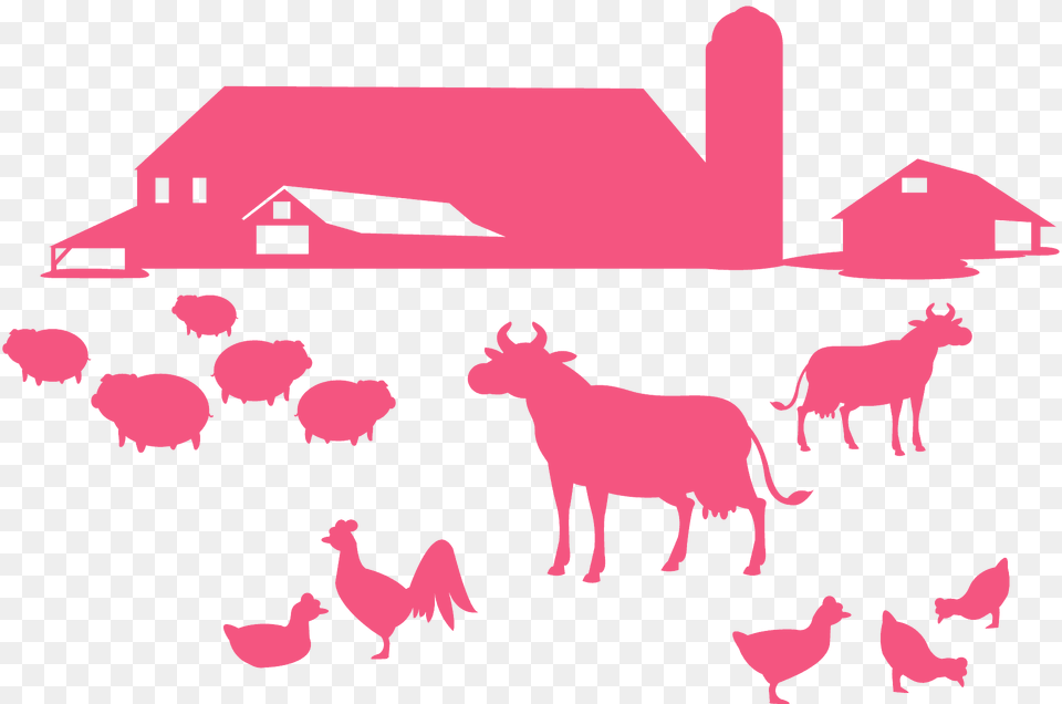 Farm Silhouette, Animal, Fowl, Chicken, Bird Png