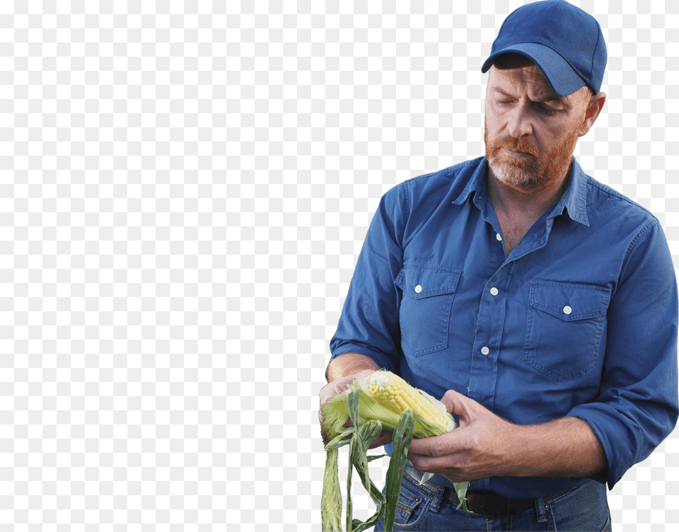 Farmer, Adult, Man, Hat, Person Free Png Download
