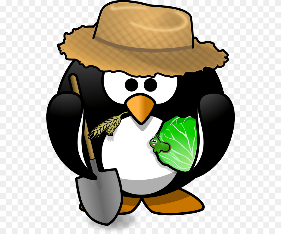 Farmer Penguin Pittsburgh Penguins Happy Birthday, Clothing, Hat, Baby, Person Free Png