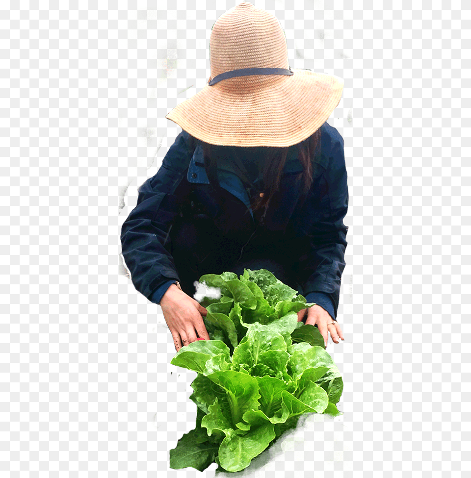 Farmer Spring Greens, Clothing, Person, Outdoors, Garden Free Transparent Png