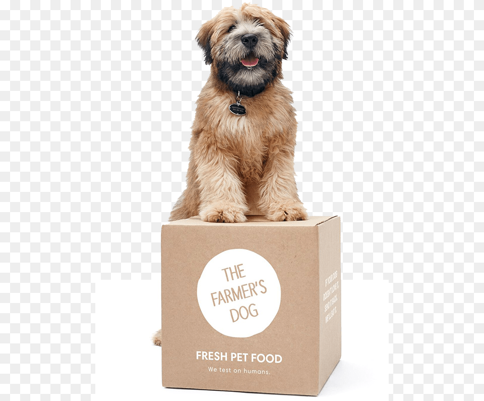 Farmers Dog Sitting On Package Subscription Petfood, Box, Animal, Pet, Mammal Free Transparent Png