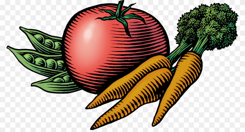 Farmers Market Legal Toolkit Legal Resources For Markets, Carrot, Food, Plant, Produce Free Transparent Png