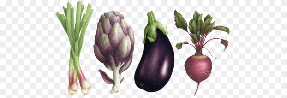 Farmers Market Set Botanical Illustration, Food, Produce, Plant Free Transparent Png