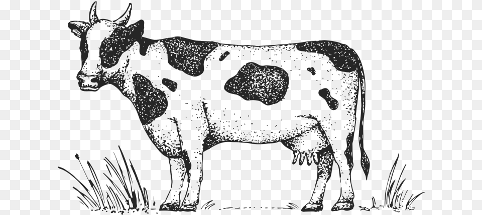 Farmers Tractor Market Logo, Animal, Bull, Mammal, Cattle Free Png
