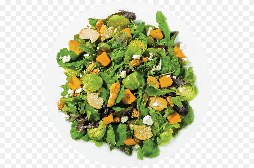 Farmhouse Salad Saladworks, Plate, Food, Leafy Green Vegetable, Plant Free Png Download