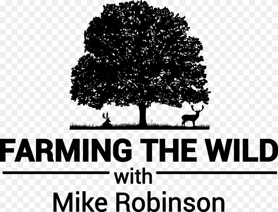 Farming The Wild Logo Christmas Day, Plant, Tree, Oak, Silhouette Free Transparent Png